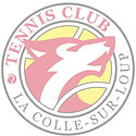 LOGO TENNIS CLUB RVB_edited_edited.jpg