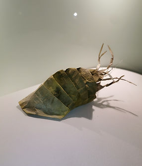 GinSe, juvenil (II) (21 × 14 × 7 cm).jpg