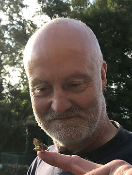 11 Media Image - Moth.jpg