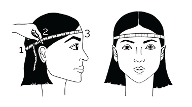 Head Measurepng.png