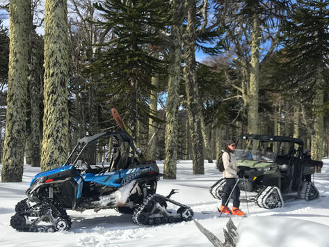 UTV Tracks.jpg
