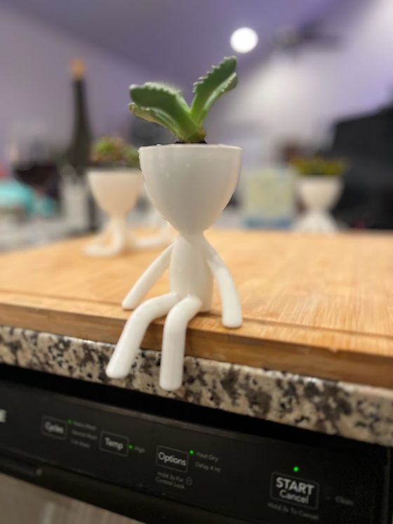3D Printed Succulent pot -Model A | EmE Creative LaB