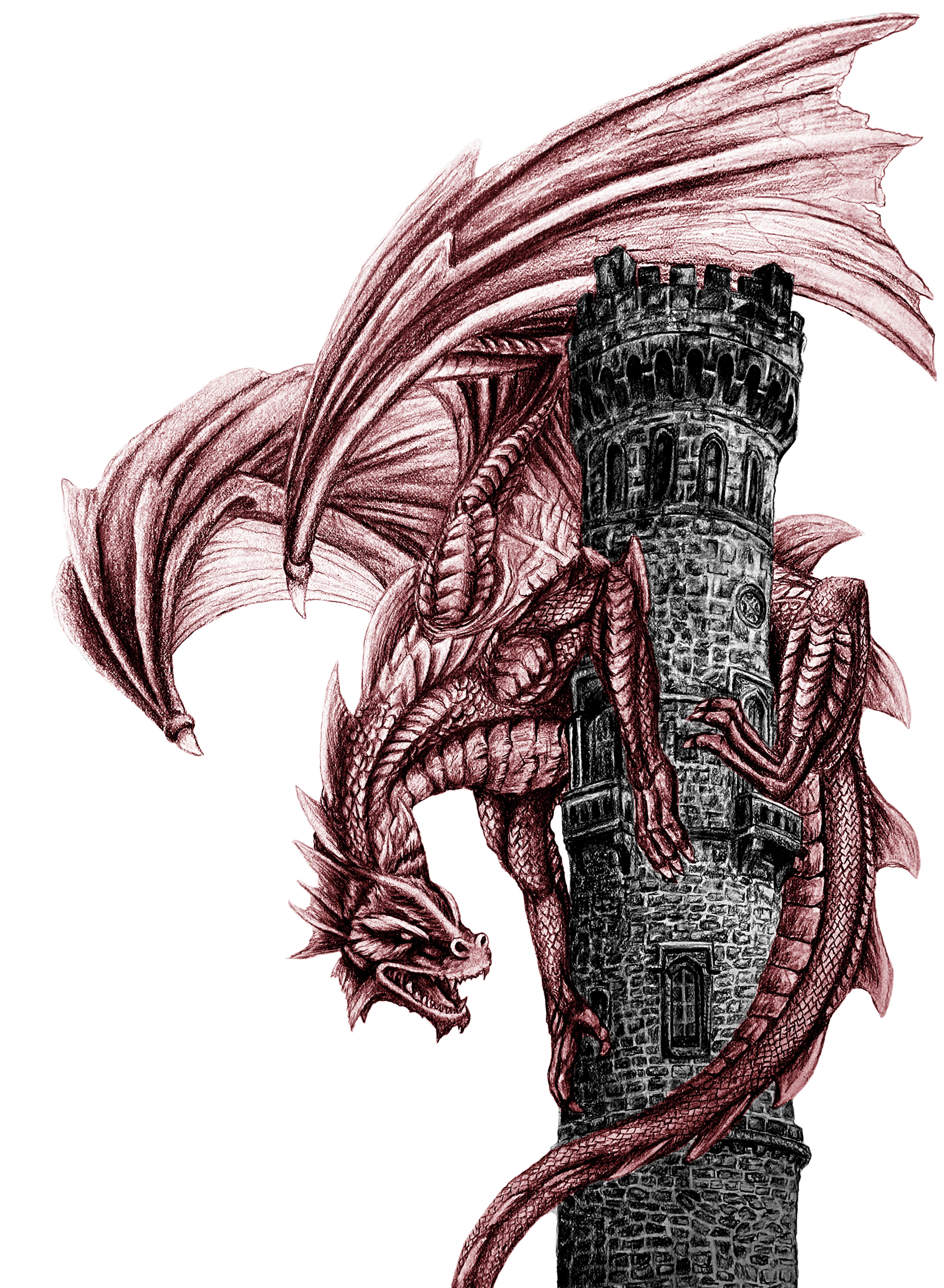 A Dragon's Tower