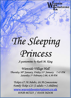 The Sleeping Princess.jpg