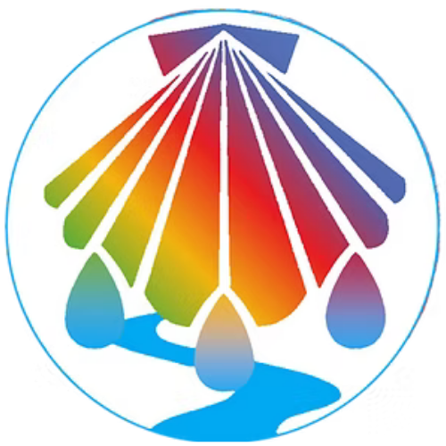 Synod—The Way Together