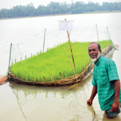 Image from "Boundless" summer 2025 newsletter.