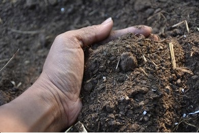 Soil organic matter held in hands