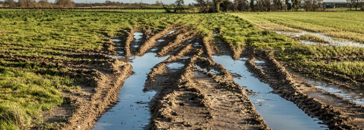 Loosened, conditioned soil