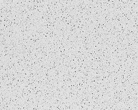 279602578829454298645-stella.jpg