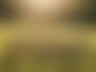 Support Legacy Rescue: Donate to Save Horses in Need