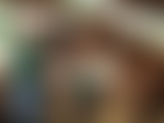 Get Involved: Volunteer Opportunities at Legacy Rescue Farm