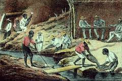 18th Brazil mine