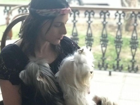 Nossa Família MULTIESPÉCIE