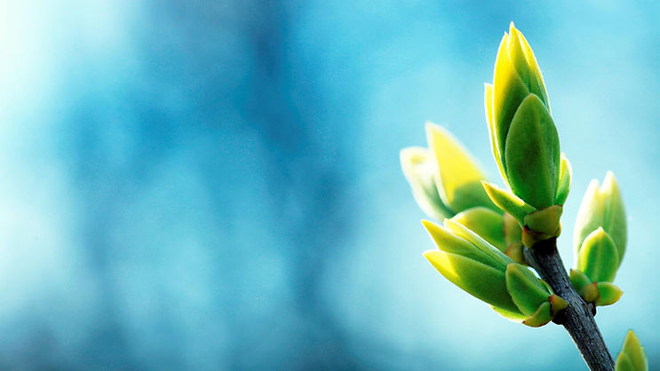 Blue-and-green-Calming-Backgrounds.jpg