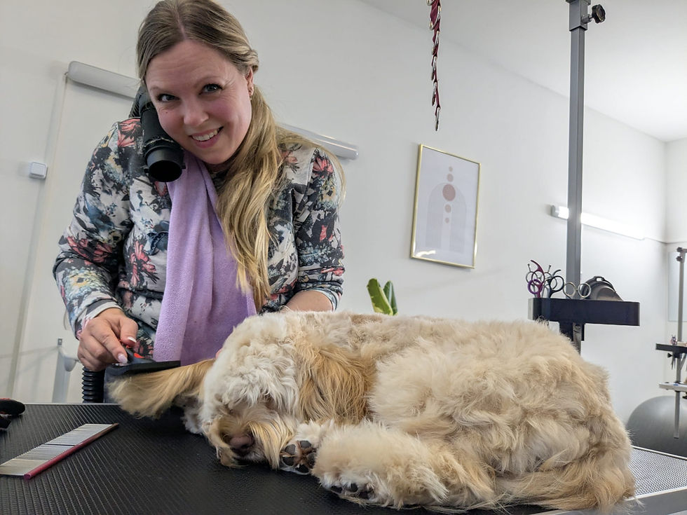 cdf4381f-cf3a-400a-a419-5cb41130e970