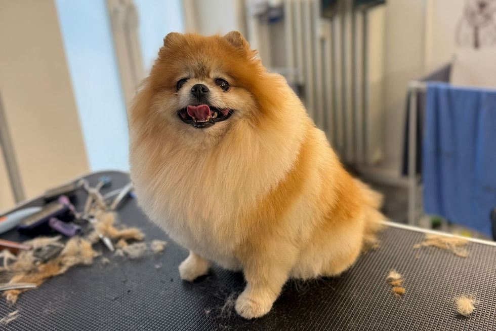 f19c8b56-2137-4a02-bbc5-b1501c54100a_edited