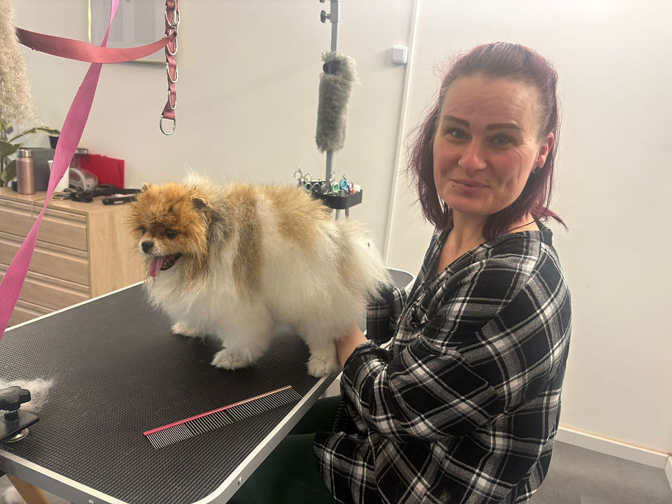 5e0343c8-3e83-49e2-9590-1aed7916c35c