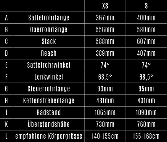 Geometrietabelle von RAEDI Bike Modell VERTI 29