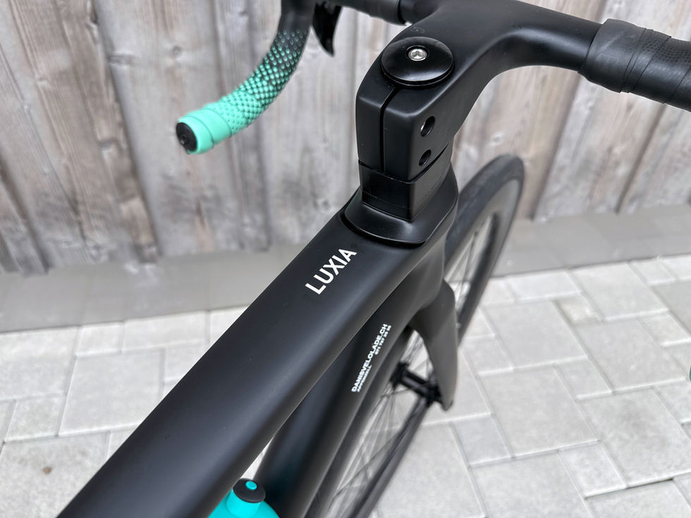 RAEDI Rennrad LUXIA Lenkereinheit