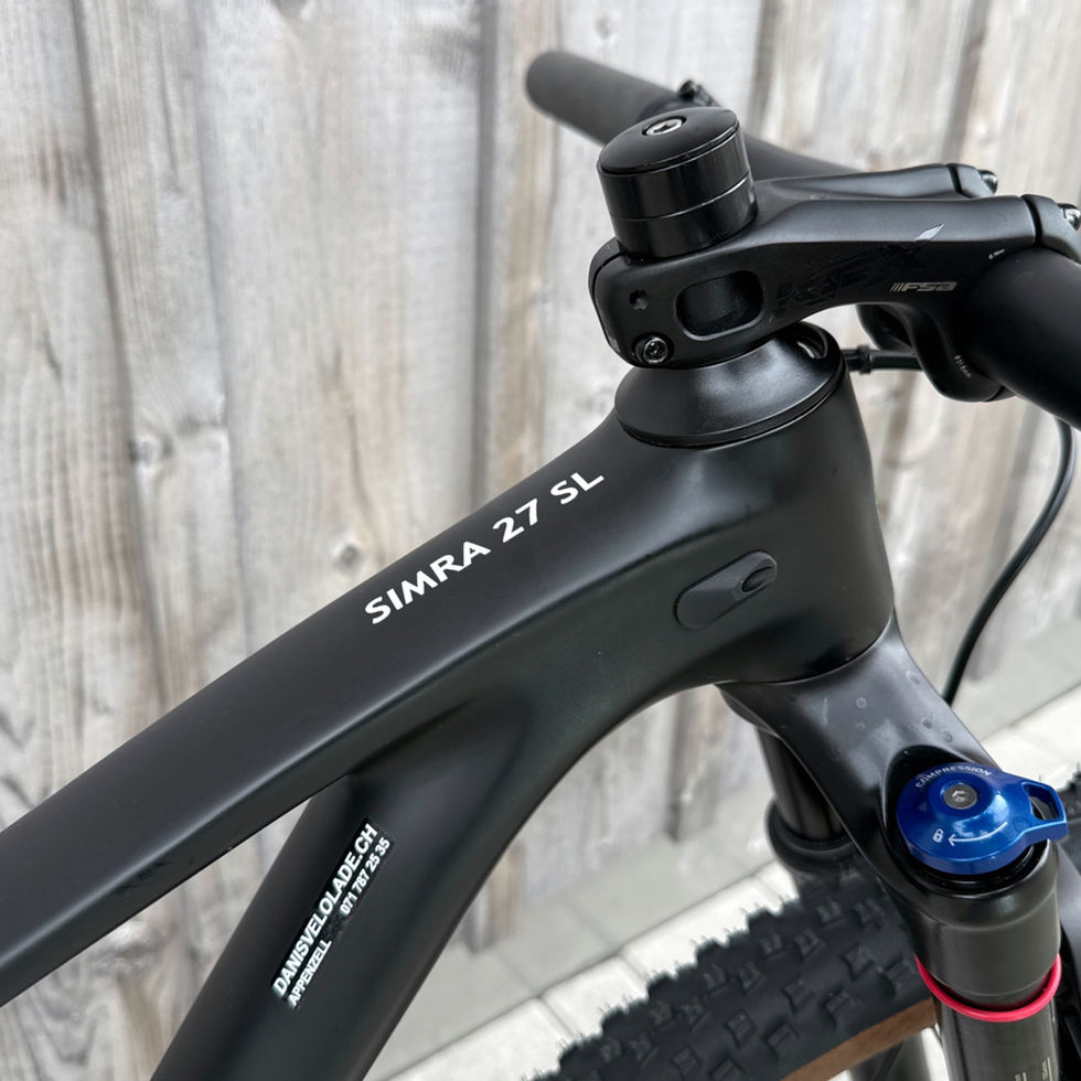 RAEDI Bike SIMRA Lenkereinheit