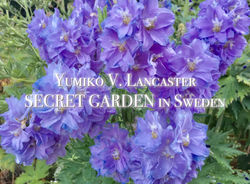 Yumiko's SECRET GARDEN in Sweden 10