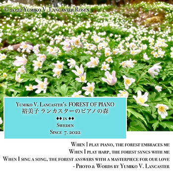 YumikoLancasterForestOfPiano_WhiteFlowers.JPG