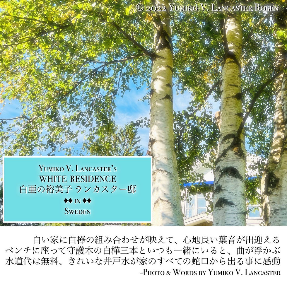 蛇口から井戸水が出る為、水道代無料