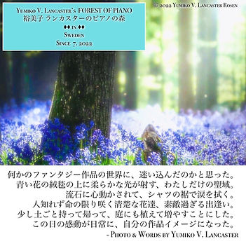 YumikoLancasterBlueBellsCarpet.JPG