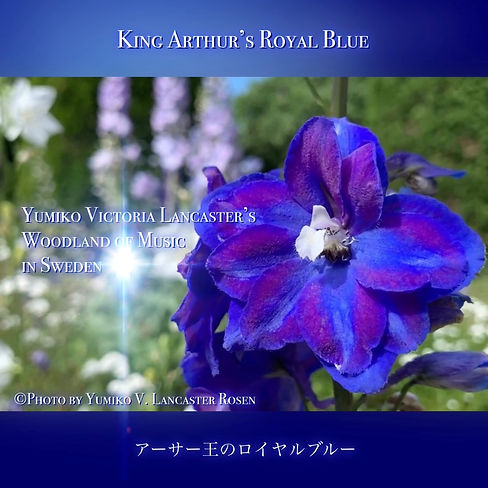 YumikoLancastersKingArthursRoyalBlue.jpg
