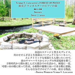 YumikoLancasterFirePlace.JPG