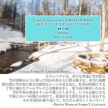 YumikoLancasterForestOfPianoWhiteSnow.JPG