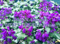 Yumiko's SECRET GARDEN in Sweden 29