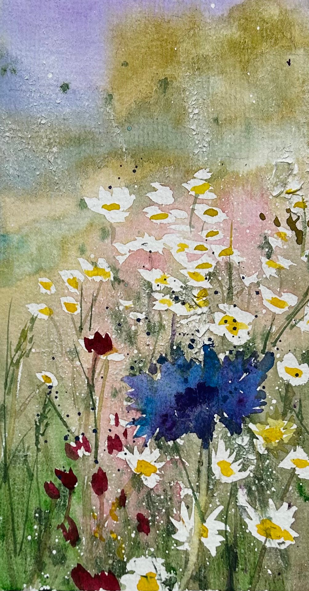 Cornflower Blue ( watercolor ) 