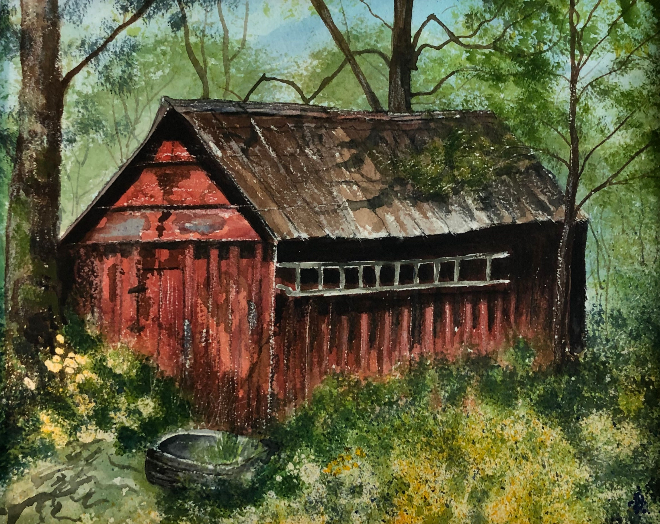 The Old Shed with Buttercups