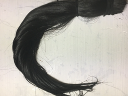 この毛なんの毛