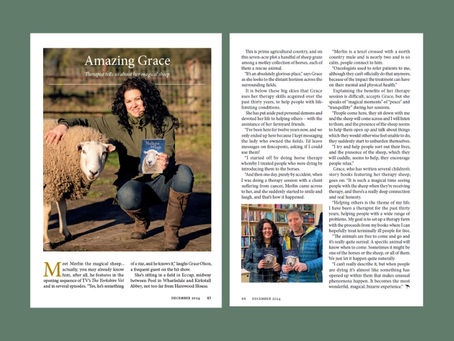 Such a Lovely Article!