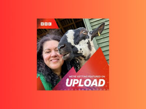 BBC Upload Interview!