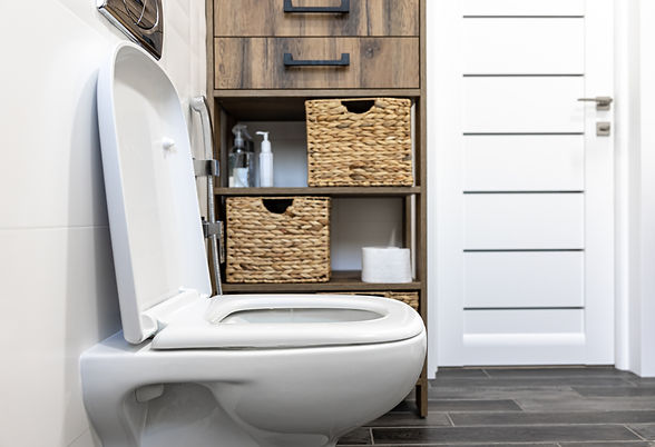 toilet-interior-minimalistic-bathroom (1).jpg