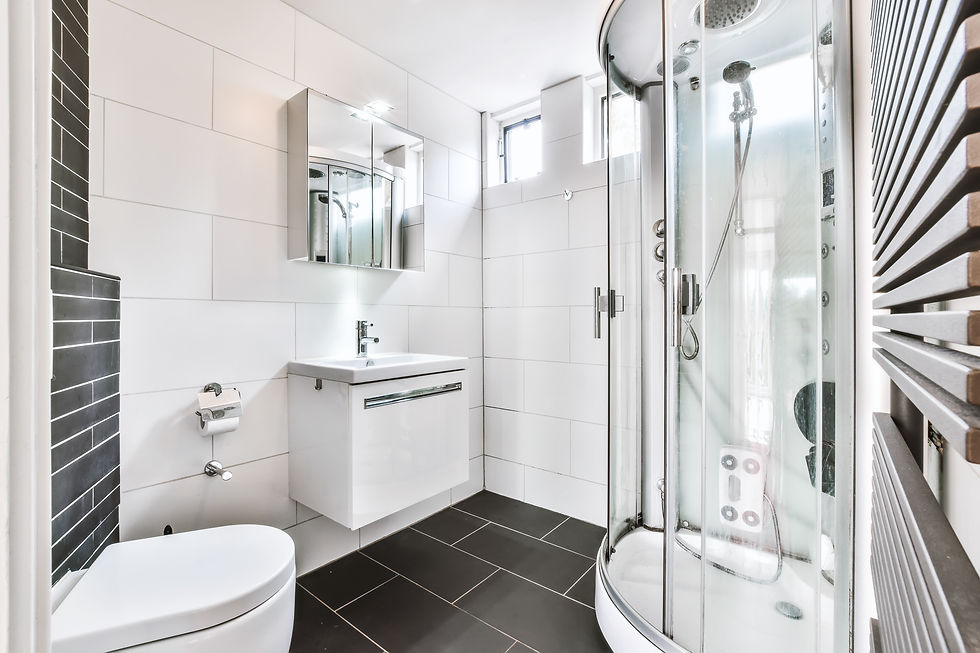 magnificent-bathroom-with-shower.jpg