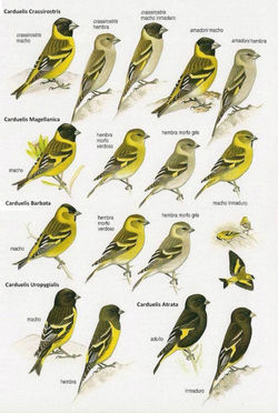 10152409_10200127181620432_3822163061091215988_n