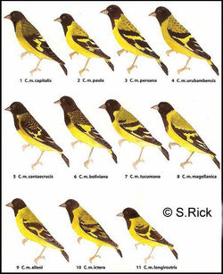 251982_397150316993576_1819242919_n