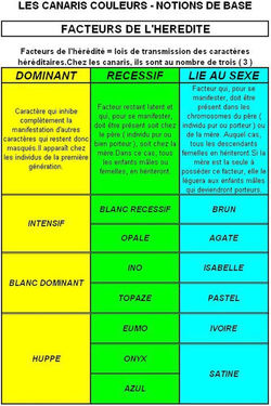 564949_367050220025735_580971467_n