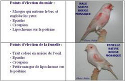 183927_187160854658219_1607366_n