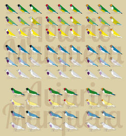 8558_287844718015033_147192124_n