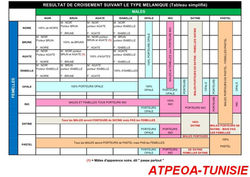 249873_320708844693378_1641412544_n