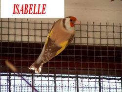 425513_287188954712034_1779565535_n