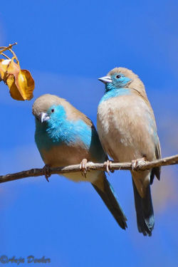 1097944_10200455969501545_663353763_n