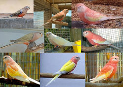 69053_400811456683116_817898138_n