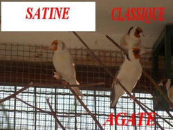 530353_356416331089124_218478209_n