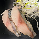 IMG_20260619_185610.jpg